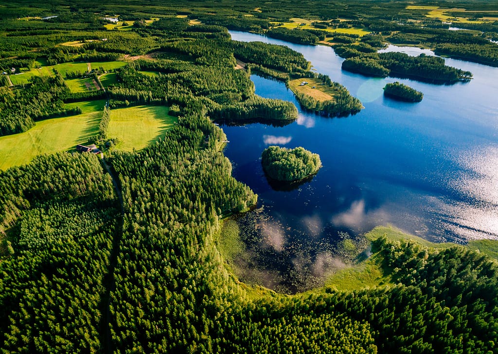 T-Print ikimetsiä suojelemassa